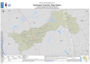 Tsp Map VL Gyobingauk Bago MIMU154v06 16Feb2024 A1 ENG.pdf
